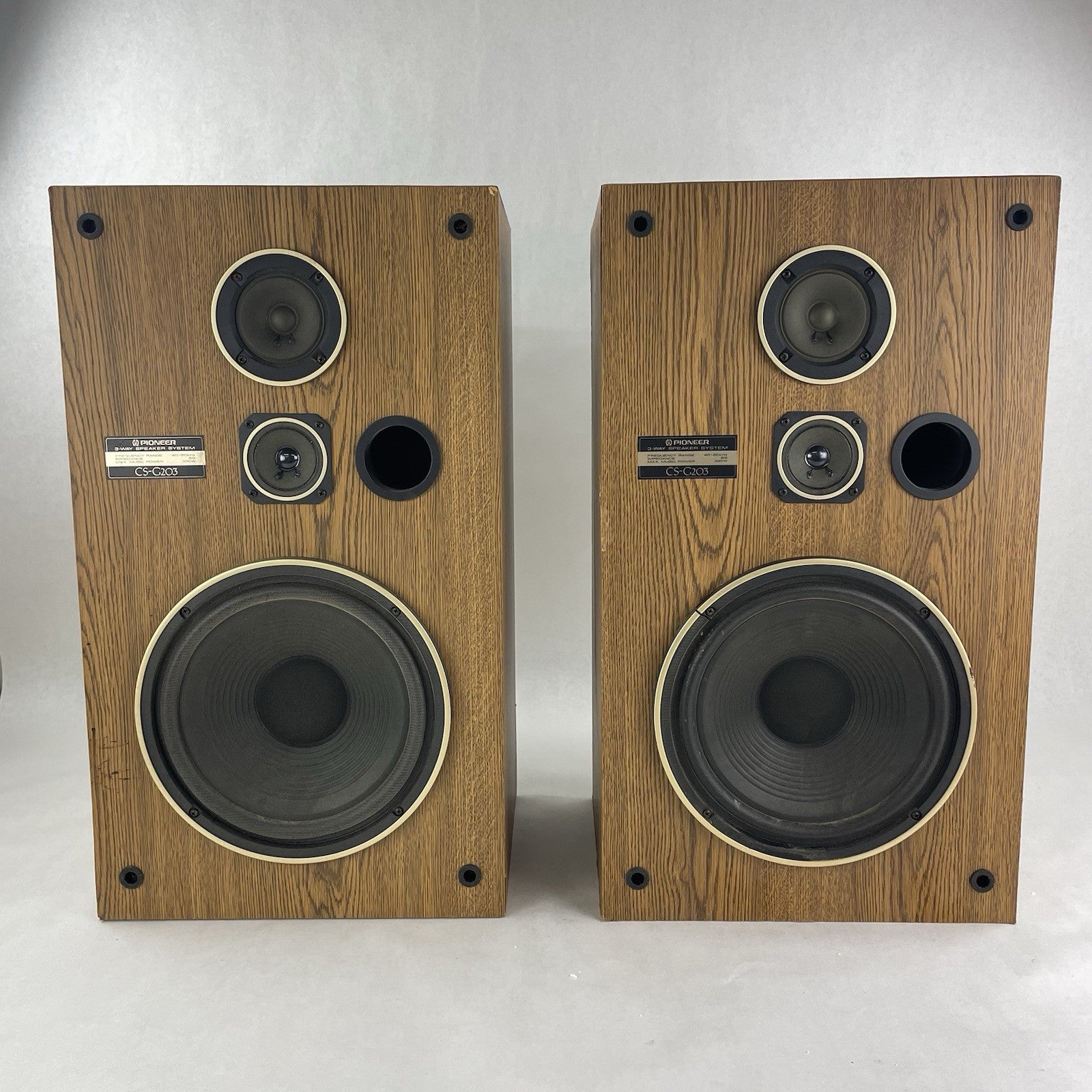 Pioneer CS-G203 Stereo Speakers Pair Tested Working
