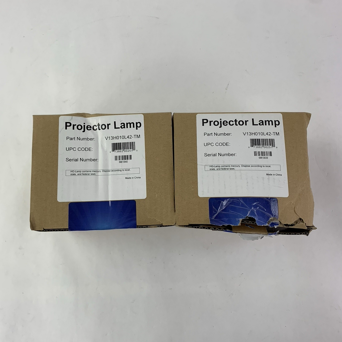 Brilliance V13H010L42-TM Projector Lamps - New6