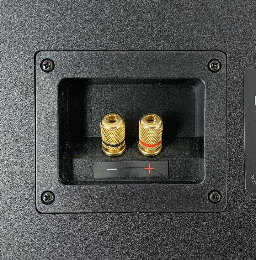 43982440