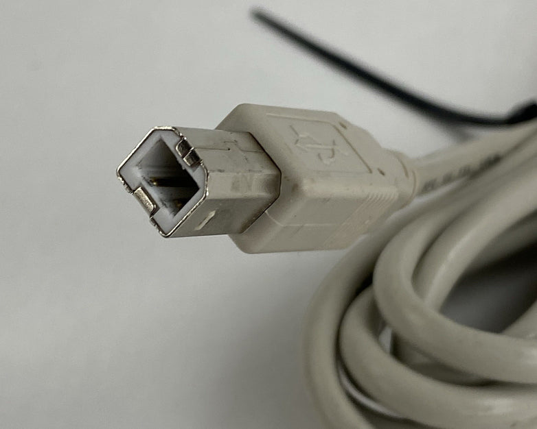 5' USB male A to Male B Printer Cable Lot of 5