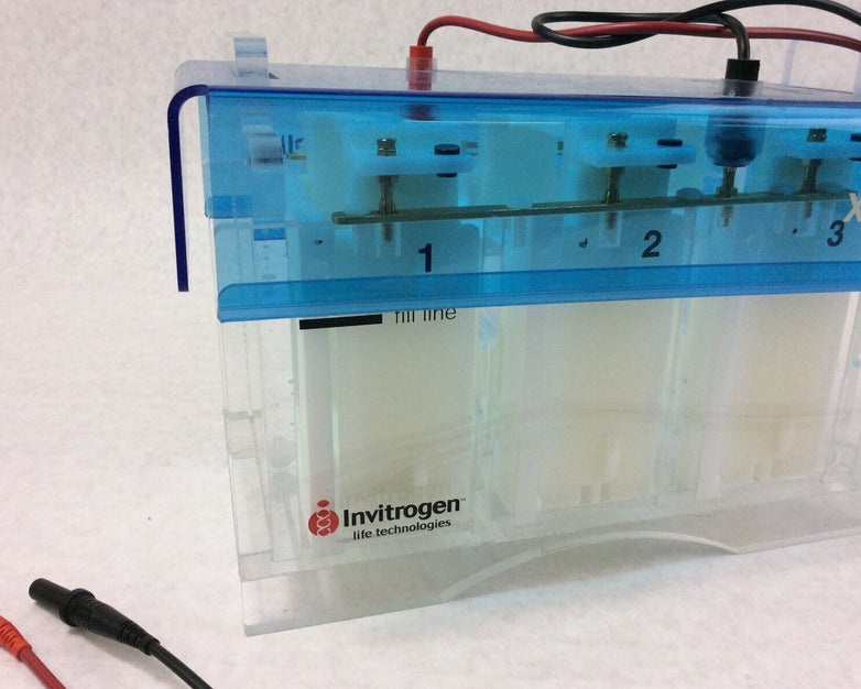 Invitrogen XCELL6 MultiGel Electrophoresis Cell