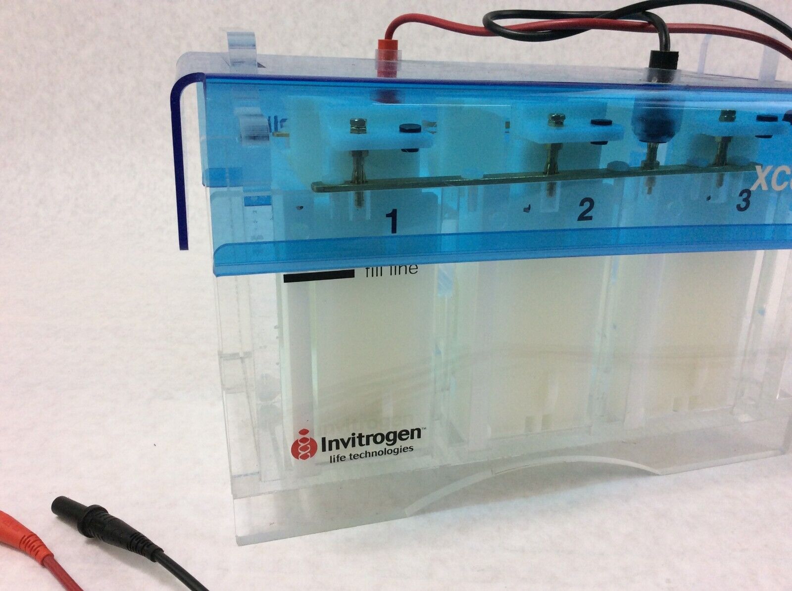 Invitrogen XCELL6 MultiGel Electrophoresis Cell