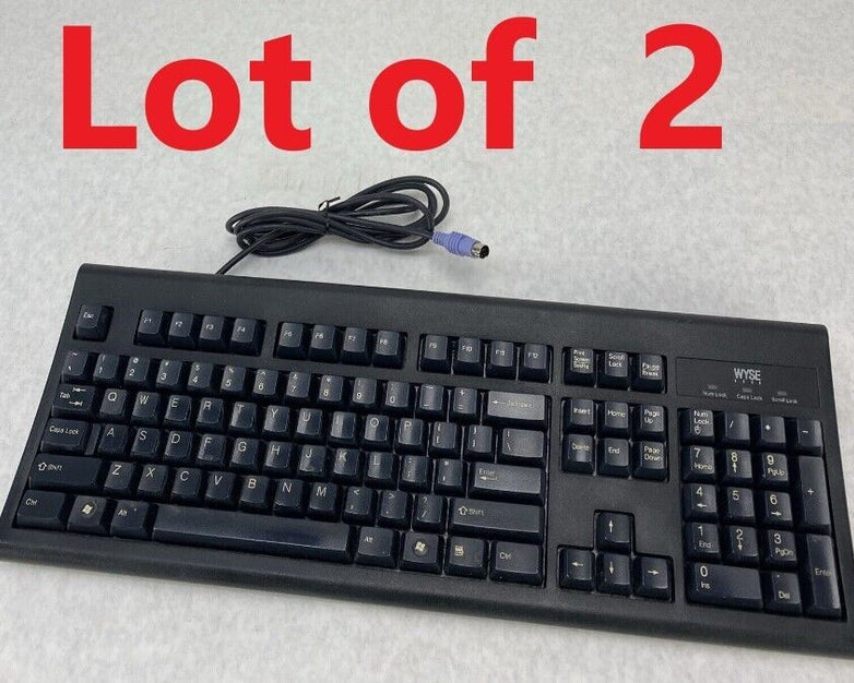 Lot( 2 ) WYSE KB-3923 PS/2 Clacky Keys No Frills Keyboard Grade B