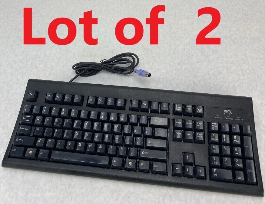 Lot( 2 ) WYSE KB-3923 PS/2 Clacky Keys No Frills Keyboard Grade B