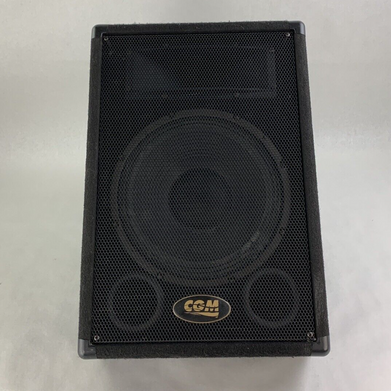 CGM ARM-112H-1-M 2-way Passive Monitor Wedge Speaker Tested