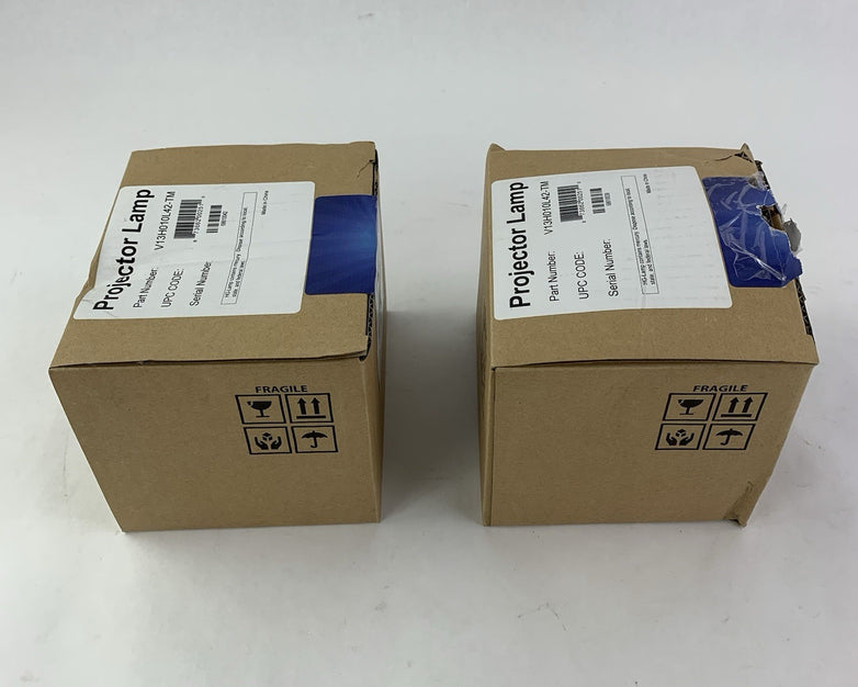 Brilliance V13H010L42-TM Projector Lamps - New