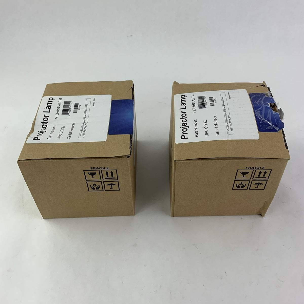 Brilliance V13H010L42-TM Projector Lamps - New2