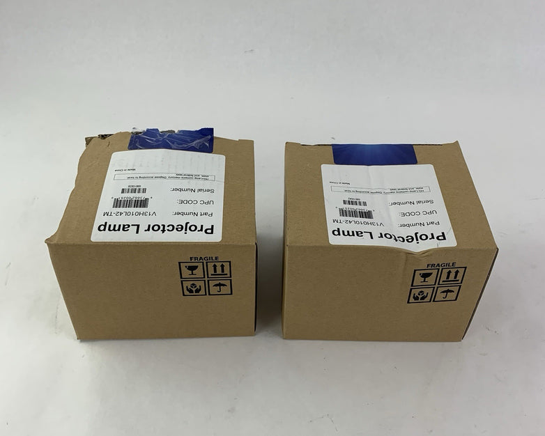 Brilliance V13H010L42-TM Projector Lamps - New