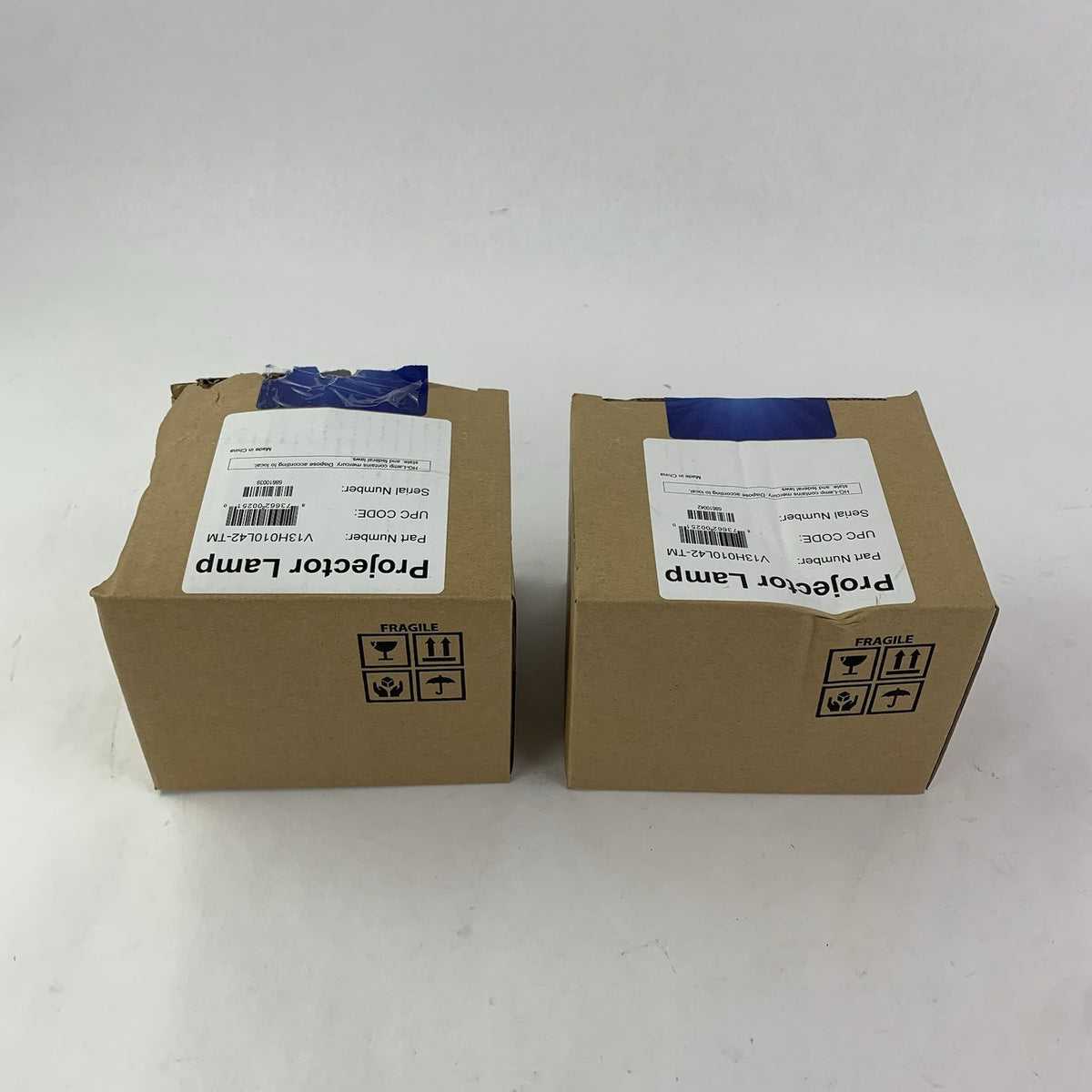 Brilliance V13H010L42-TM Projector Lamps - New5