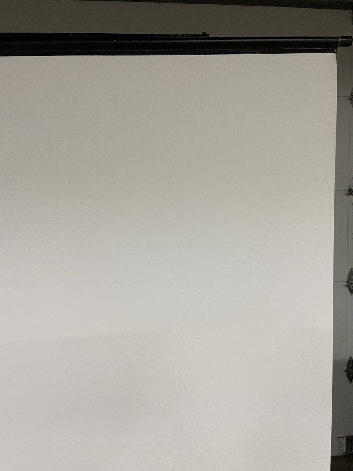 45669066