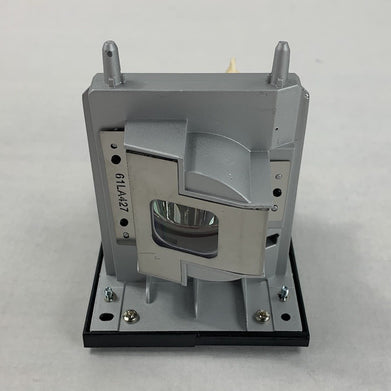 Electrified Lamps 20-01175-20 Replacement Projector Lamp