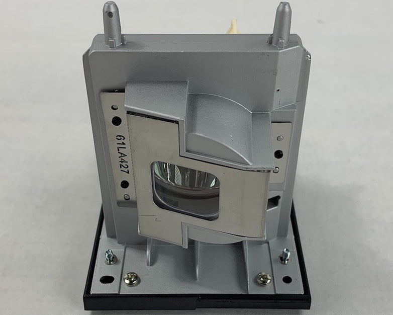 Electrified Lamps 20-01175-20 Replacement Projector Lamp