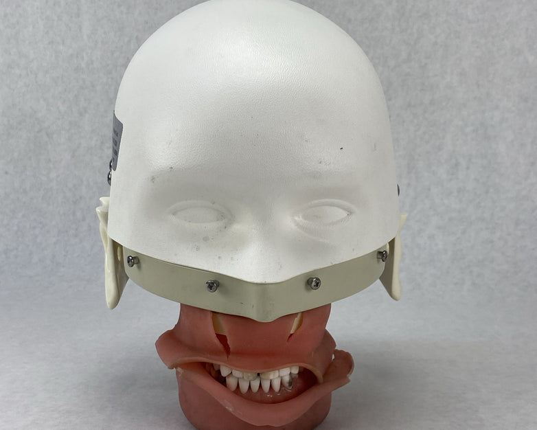 Kilgore International Dental Phantom Head Manikin