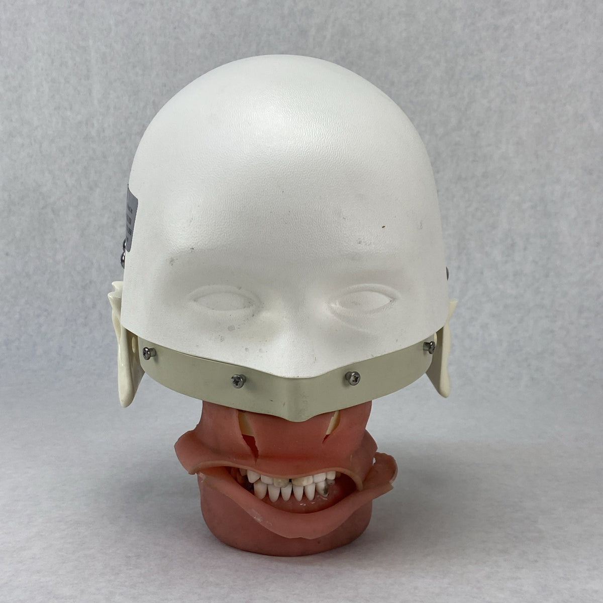Kilgore International Dental Phantom Head Manikin2