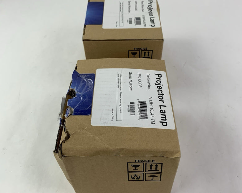 Brilliance V13H010L42-TM Projector Lamps - New