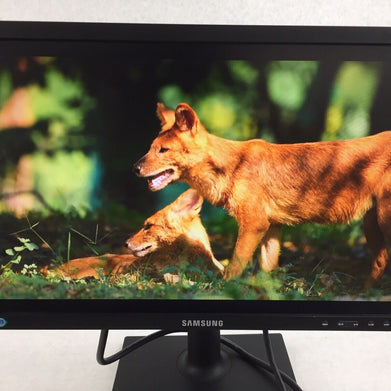Samsung 19" SE450 Series LED Monitor S19E450BW 1440 x 900 pixels C Grade