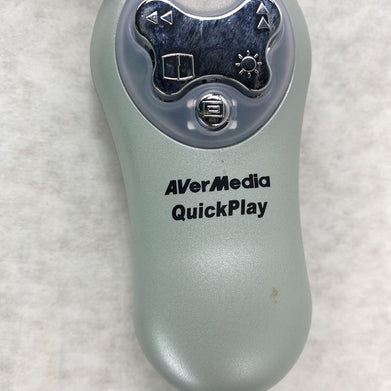 AVerMedia QuickPlay PC VGA Dsub to TV S-Video RCA Converter UNTESTED
