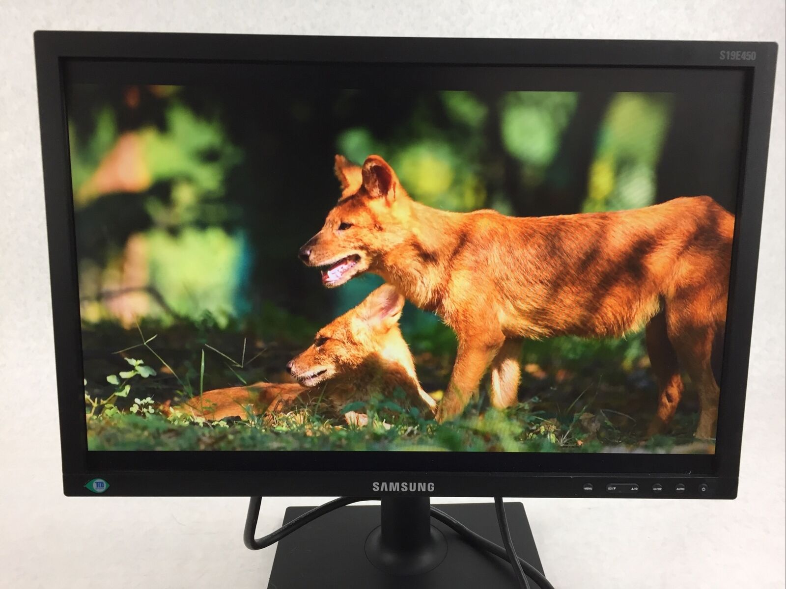 Samsung 19" SE450 Series LED Monitor S19E450BW 1440 x 900 pixels